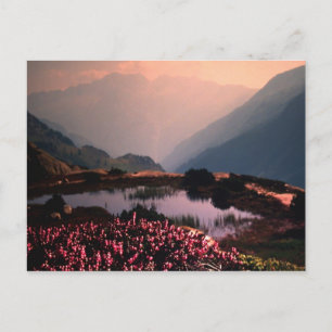 VOORUITGANG BRIEFKAART