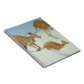 Vooruitlopen Notitieboek (Rechterzijde)