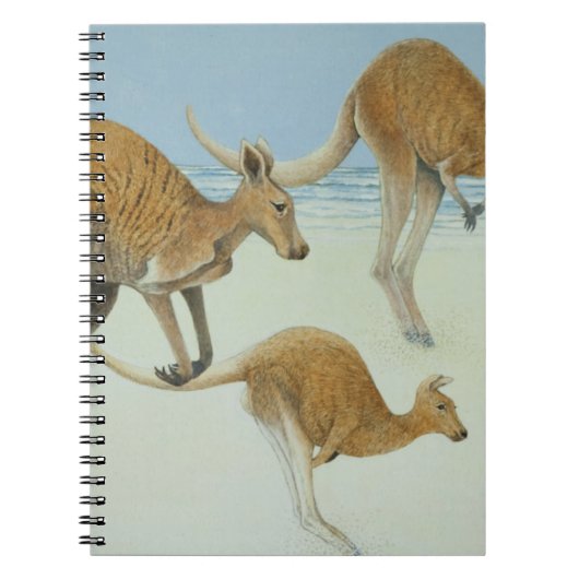 Vooruitlopen Notitieboek (Voorkant)