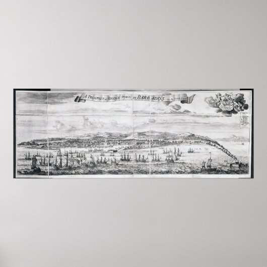 Vooruitzichten van de brug in Barbados Poster (Voorkant)