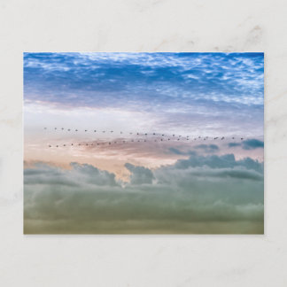 Voorwaartse vogelmigratie Team Inspiratie Briefkaart
