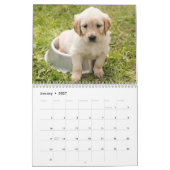 Voorzichtig 12 maanden kalender (Jan 2027)