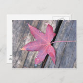 voorzichtig briefkaart (Voorkant / Achterkant)