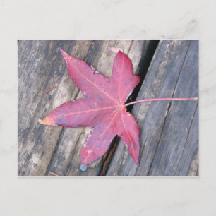 voorzichtig briefkaart