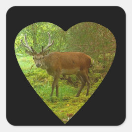 Voorzichtig edelhert hert vierkante sticker