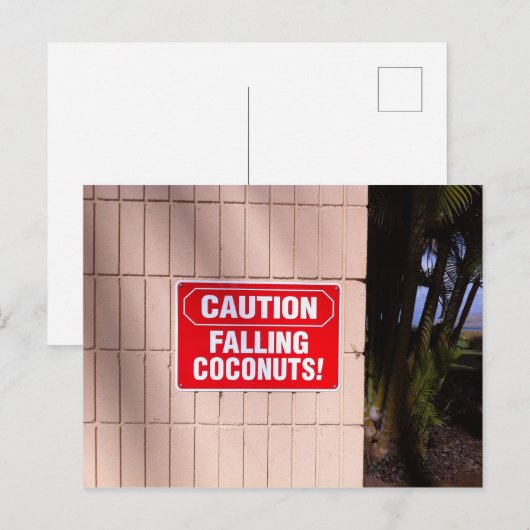 Voorzichtig - Falling Coconuts! Briefkaart (Voorkant / Achterkant)