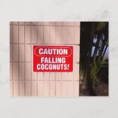 Voorzichtig - Falling Coconuts! Briefkaart (Voorkant)