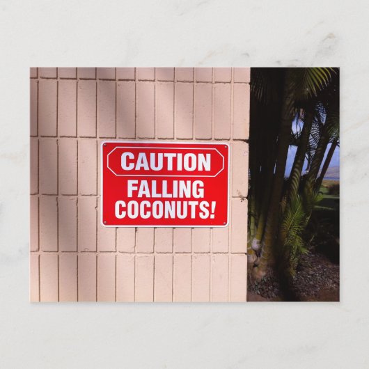 Voorzichtig - Falling Coconuts! Briefkaart (Voorkant)