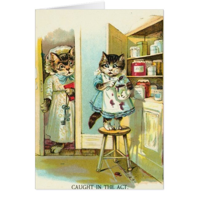 Voorzichtig in de wet (Voorkant)