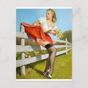 Voorzichtig op Fence Pin Up Briefkaart