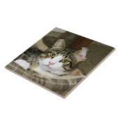 Voorzichtig Tegeltje (Zijkant)