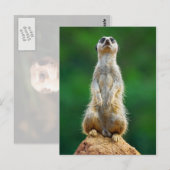 Voorziene loopwacht briefkaart (Voorkant / Achterkant)