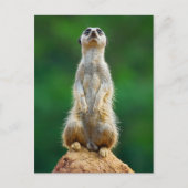 Voorziene loopwacht briefkaart (Voorkant)