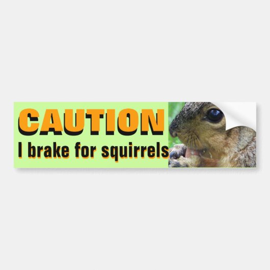 VOORZIENING: I REM VOOR SQUIRRELS-bumpersticker Bumpersticker (Voorkant)