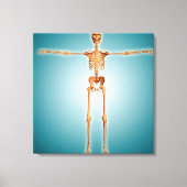Voorzijde Uitzicht van het skeletstelsel van de me Canvas Afdruk (Voorkant)