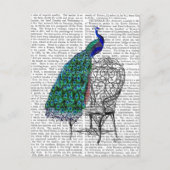 Voorzitter Peacock Briefkaart (Voorkant)