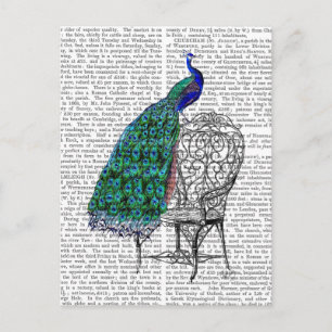 Voorzitter Peacock Briefkaart