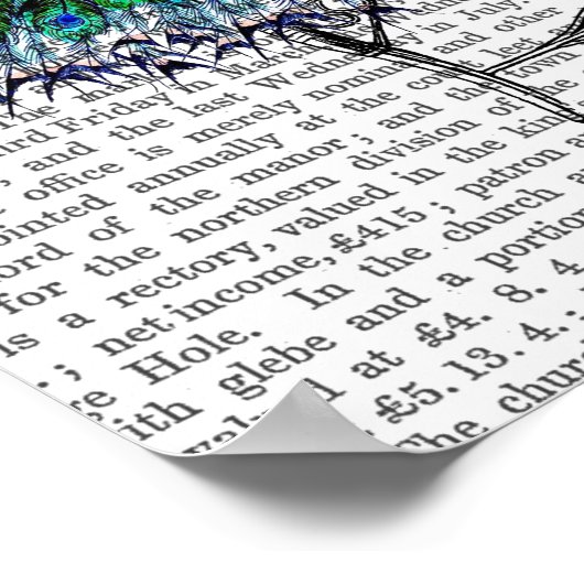 Voorzitter Peacock Poster (Hoek)