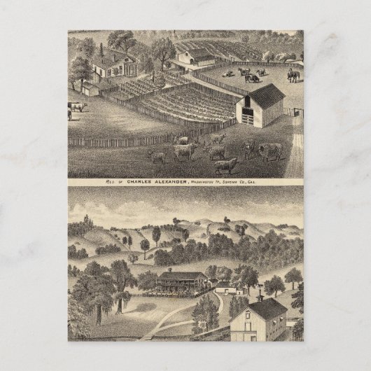 Voorzitter van Charles Alexander Briefkaart (Voorkant)