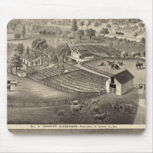 Voorzitter van Charles Alexander Muismat