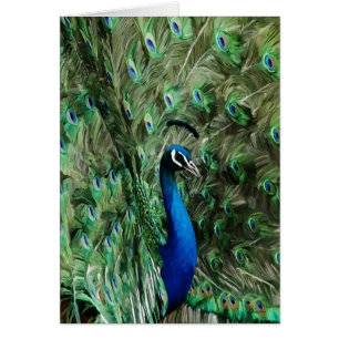 Voorzorg voor voetnoten