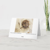 "Vorige jaar" Oude gedroogde zonnebloempitten op s Kaart (Achterkant)