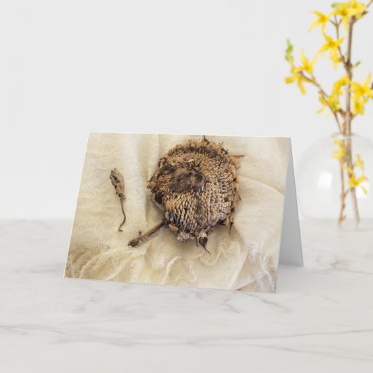 "Vorige jaar" Oude gedroogde zonnebloempitten op s Kaart (Gele Bloem)