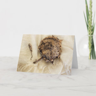 "Vorige jaar" Oude gedroogde zonnebloempitten op s Kaart