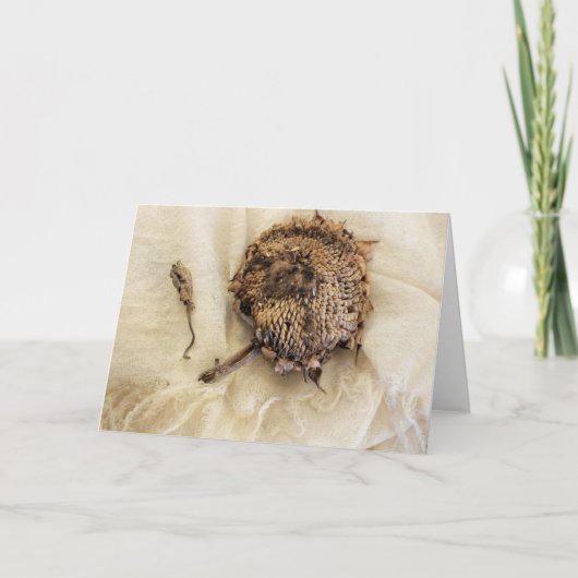 "Vorige jaar" Oude gedroogde zonnebloempitten op s Kaart (Voorkant)