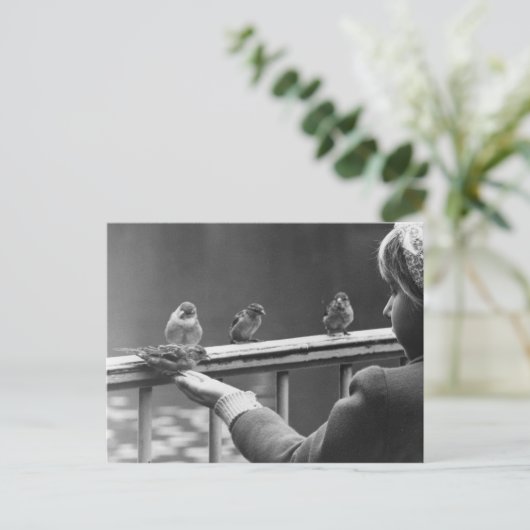 Vorm een ordelijke rij briefkaart (Staand voorkant)