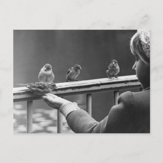 Vorm een ordelijke rij briefkaart (Voorkant)