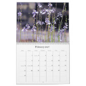 Vorm en kleur in Natuur Kalender (Feb 2027)