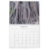 Vorm en kleur in Natuur Kalender (Jan 2027)