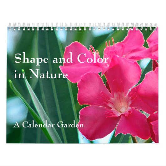 Vorm en kleur in Natuur Kalender (Hoes)