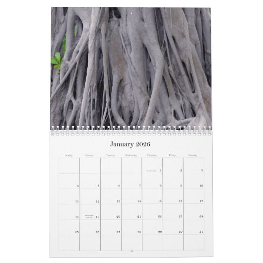 Vorm en kleur in Natuur Kalender (Jan 2026)