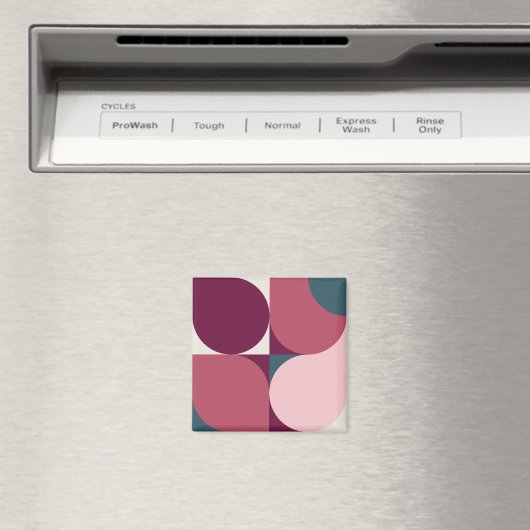 Vormen Magneet (Insitu (Vaatwasser))