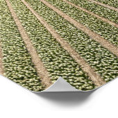 Vormen van tulpvelden in Nederland Poster (Hoek)