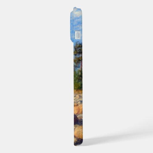 Vormsi-stilte iPhone Hoesje (Linkerkant)