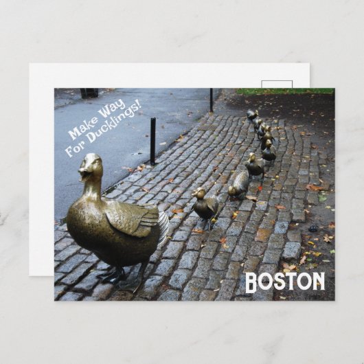 Vormt plaats voor het Briefkaart van de Ducklings (Voorkant / Achterkant)