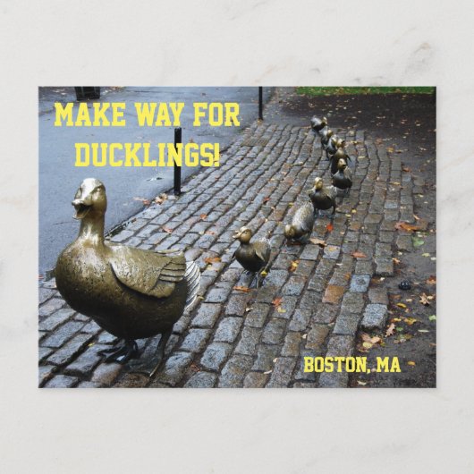 Vormt plaats voor het Briefkaart van de Ducklings (Voorkant)