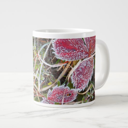 Vorst bedekte bladeren, Canada Grote Koffiekop (Voorkant rechts)