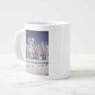 Vorst bedekte bomen en hek, Colorado Grote Koffiekop