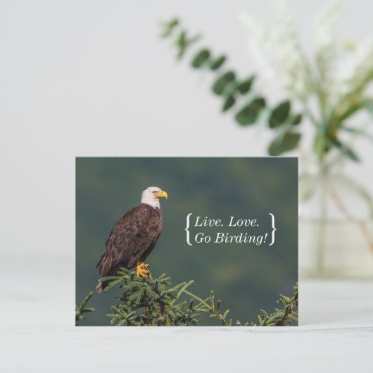 Vorstelijk Kaal Eagle Briefkaart (Staand voorkant)