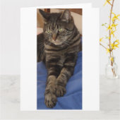 Vorstelijke Grote Wenskaarten Dave Kaart (Gele Bloem)