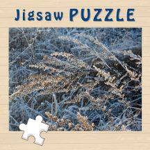 Vorstig Ijs covert Winter Gras esthetische Foto