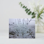 Vorstige Planten Winterlandschap Briefkaart (Staand voorkant)