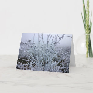 Vorstige Planten Winterlandschap Feestdagen Kaart