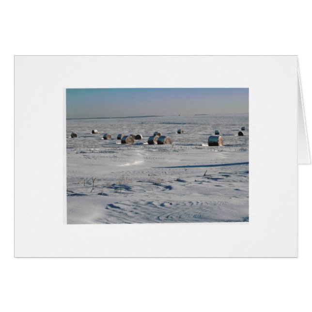 vorstvlokken (Voorkant Horizontaal)