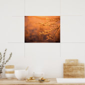 Vorstvlokken bij zonsopgang poster (Keuken)