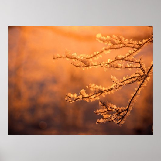 Vorstvlokken bij zonsopgang poster (Voorkant)